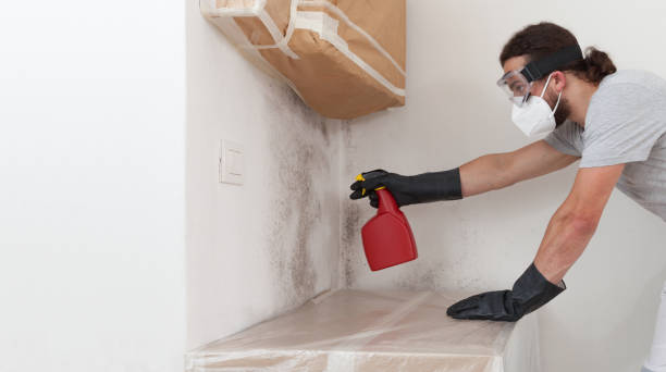 Professional Crawl Space Mold Removal technician working in Long Beach, NY