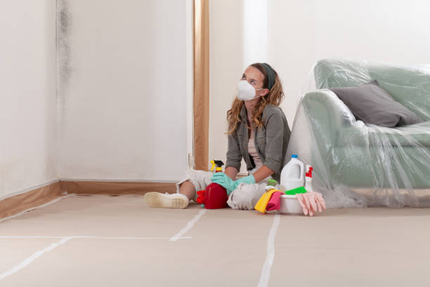 Reliable Crawl Space Mold Removal contractor in Long Beach, NY by WQB Mold Removal